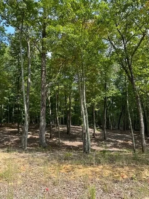 Tract 11 Eagle Rock Road, Monteagle, TN 37356