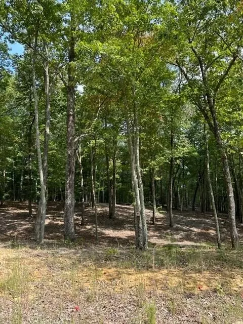 Tract 11 Eagle Rock Road, Monteagle, TN 37356