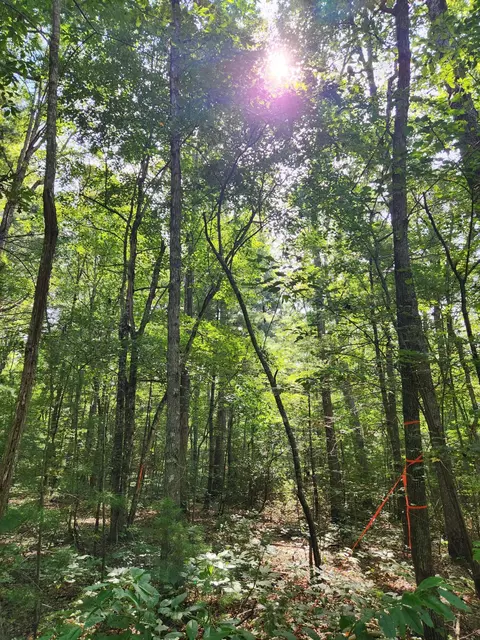 0 Rocky Pt #307, Crossville, TN 38571