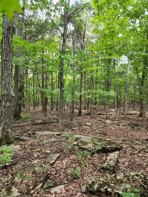 4 Sewanee Summit Rd #4, Decherd, TN 37324 photo 31