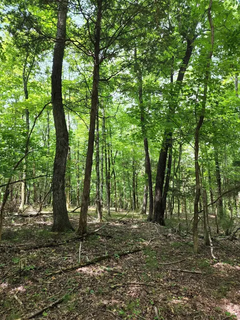 4 Sewanee Summit Rd #4, Decherd, TN 37324 photo 9