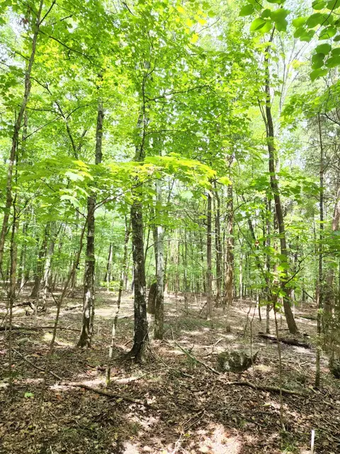 4 Sewanee Summit Rd #4, Decherd, TN 37324 photo 3