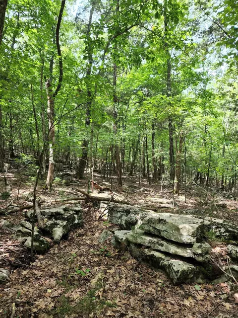 4 Sewanee Summit Rd #4, Decherd, TN 37324 photo 22