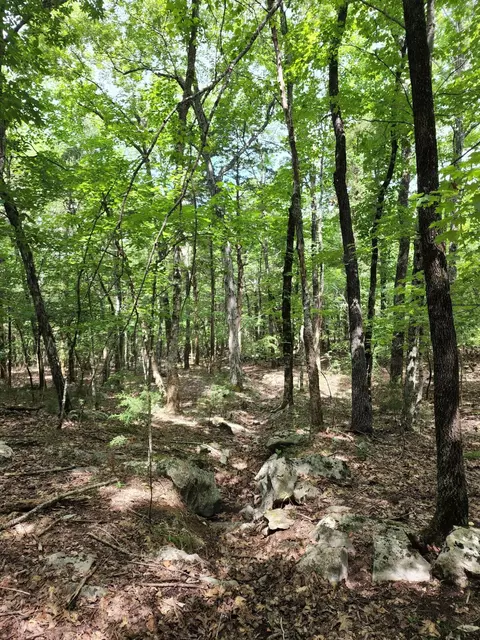4 Sewanee Summit Rd #4, Decherd, TN 37324 photo 23
