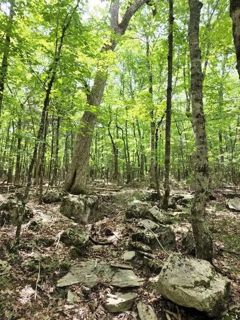 4 Sewanee Summit Rd #4, Decherd, TN 37324 photo 24