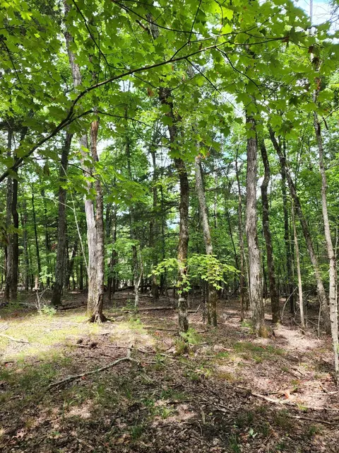 4 Sewanee Summit Rd #4, Decherd, TN 37324 photo 10
