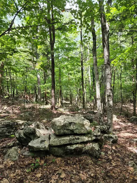 4 Sewanee Summit Rd #4, Decherd, TN 37324 photo 21