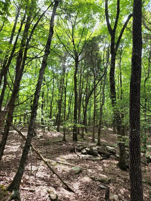4 Sewanee Summit Rd #4, Decherd, TN 37324 photo 26