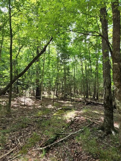 4 Sewanee Summit Rd #4, Decherd, TN 37324 photo 8