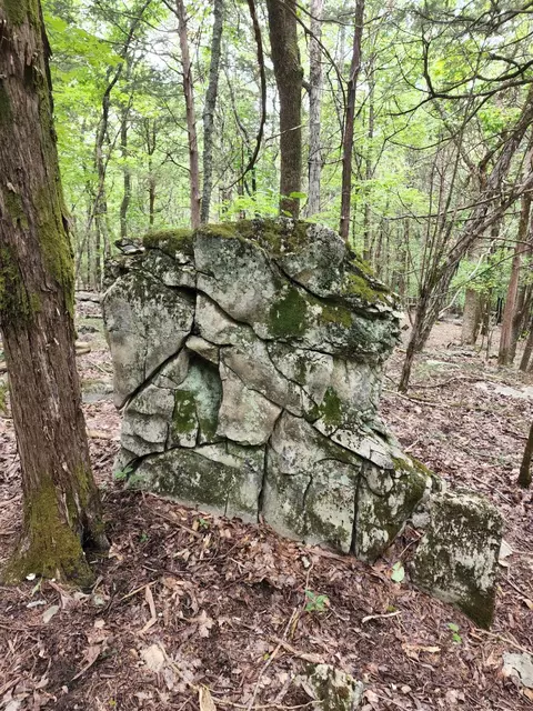 4 Sewanee Summit Rd #4, Decherd, TN 37324 photo 14