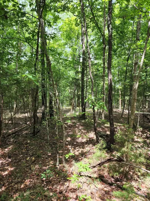 4 Sewanee Summit Rd #4, Decherd, TN 37324 photo 7