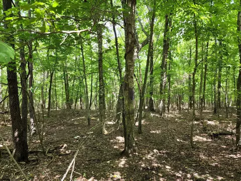 4 Sewanee Summit Rd #4, Decherd, TN 37324 photo 2