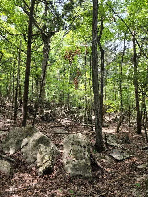 4 Sewanee Summit Rd #4, Decherd, TN 37324 photo 20