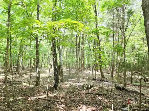 4 Sewanee Summit Rd #4, Decherd, TN 37324 photo 4