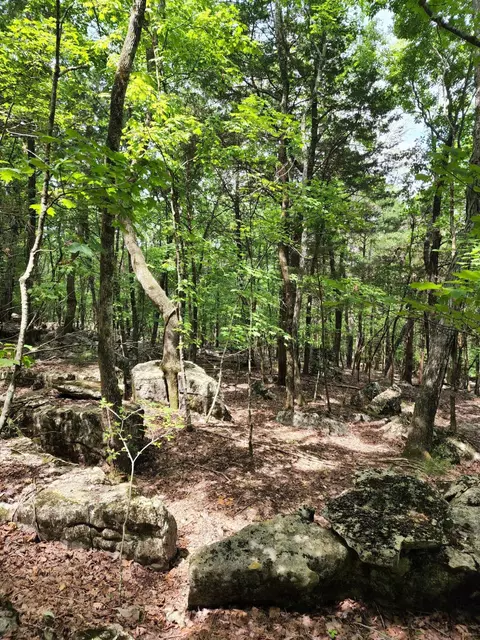 4 Sewanee Summit Rd #4, Decherd, TN 37324 photo 17