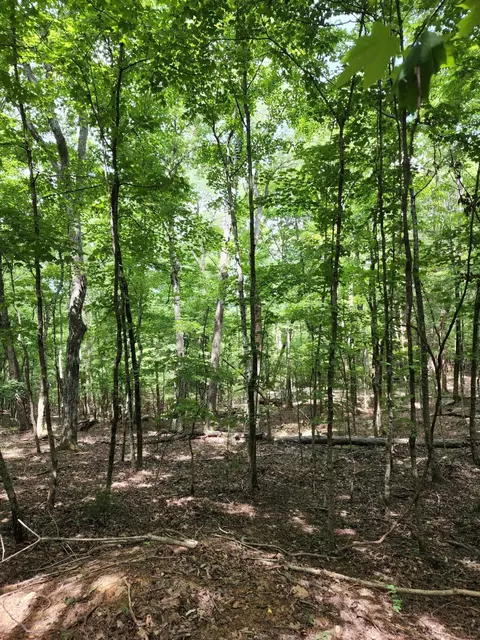 4 Sewanee Summit Rd #4, Decherd, TN 37324 photo 5