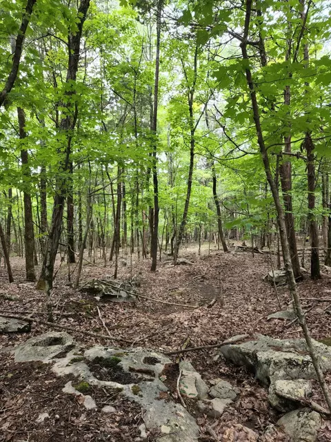 4 Sewanee Summit Rd #4, Decherd, TN 37324 photo 28
