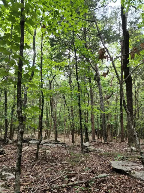 4 Sewanee Summit Rd #4, Decherd, TN 37324 photo 13