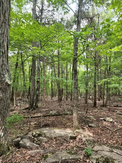 4 Sewanee Summit Rd #4, Decherd, TN 37324 photo 29