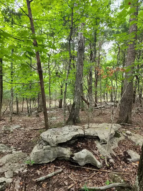 4 Sewanee Summit Rd #4, Decherd, TN 37324 photo 27