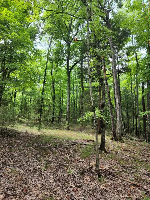 4 Sewanee Summit Rd #4, Decherd, TN 37324 photo 11