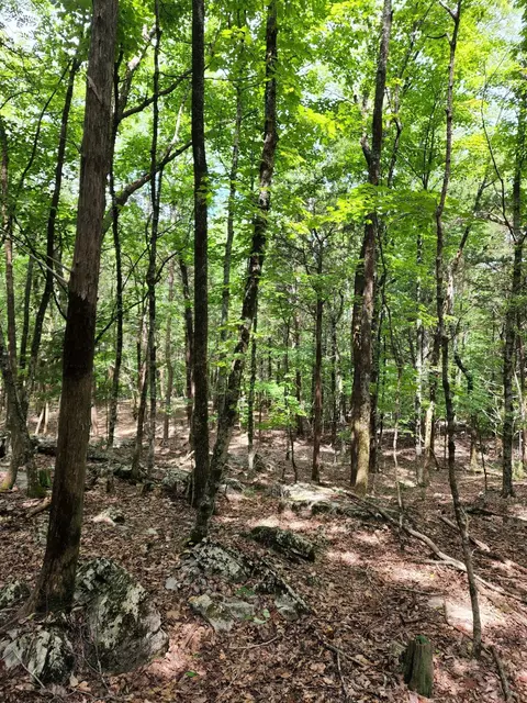 4 Sewanee Summit Rd #4, Decherd, TN 37324 photo 19