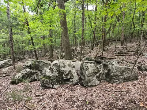 4 Sewanee Summit Rd #4, Decherd, TN 37324 photo 16