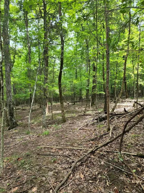 4 Sewanee Summit Rd #4, Decherd, TN 37324 photo 12