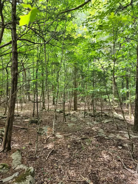4 Sewanee Summit Rd #4, Decherd, TN 37324 photo 30