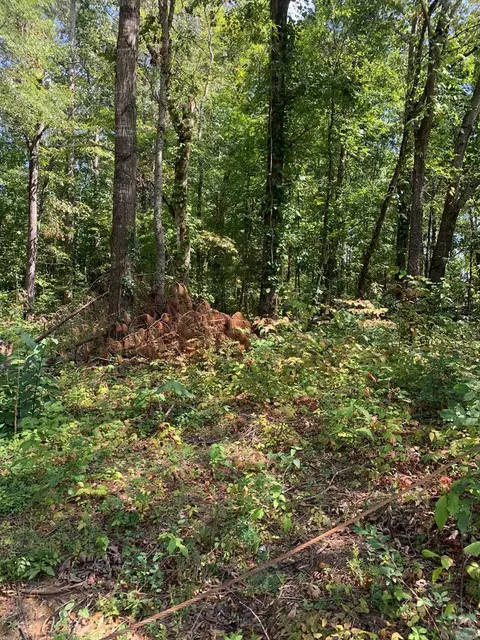 0 S Highway 411, Chatsworth, GA 30705