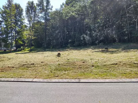 lot11 Hidden Trail Trl, Dunlap, TN 37327