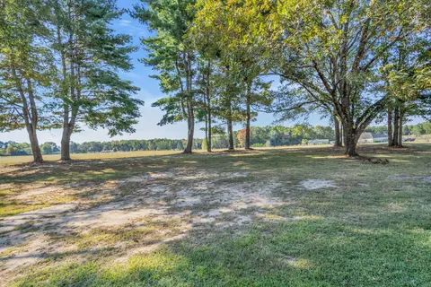 405 Bluff Rd, Section, AL 35771 photo 31