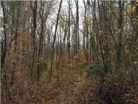 lot14 Coburntown Rd #14, South Pittsburg, TN 37380