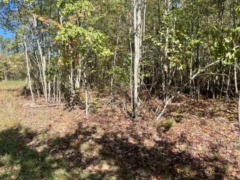 lot244 Cherokee Path, Jasper, TN 37347 photo 34