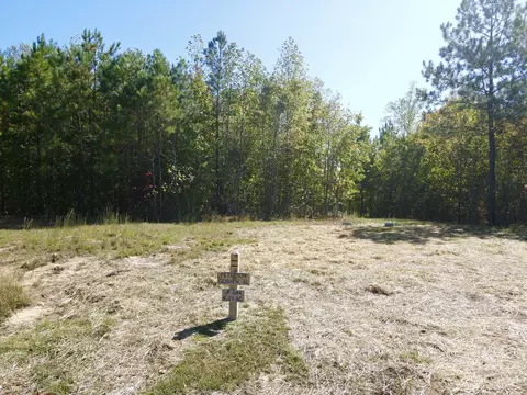 lot244 Cherokee Path, Jasper, TN 37347 photo 11