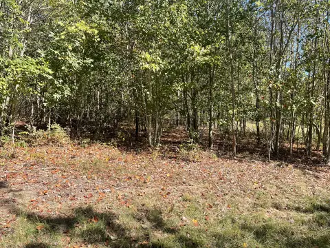lot244 Cherokee Path, Jasper, TN 37347 photo 33