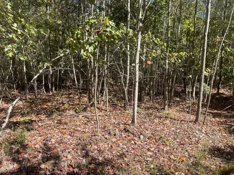 lot244 Cherokee Path, Jasper, TN 37347 photo 35