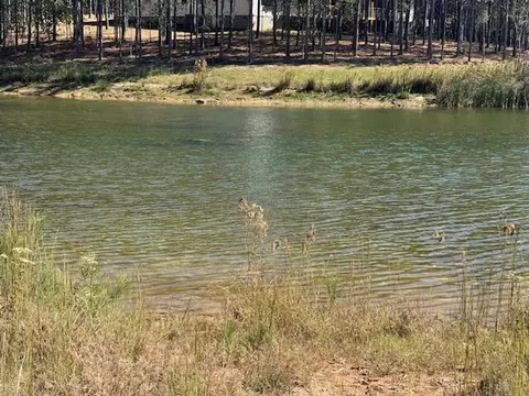 lot244 Cherokee Path, Jasper, TN 37347 photo 38