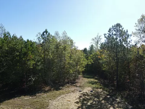 lot244 Cherokee Path, Jasper, TN 37347 photo 10