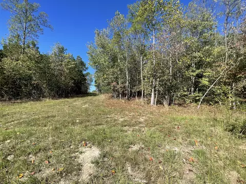 lot244 Cherokee Path, Jasper, TN 37347 photo 37