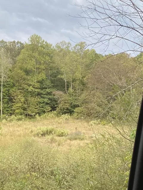 00 County Road 130, Riceville, TN 37370