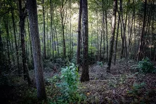 230 Morrow Rd, Turtletown, TN 37391