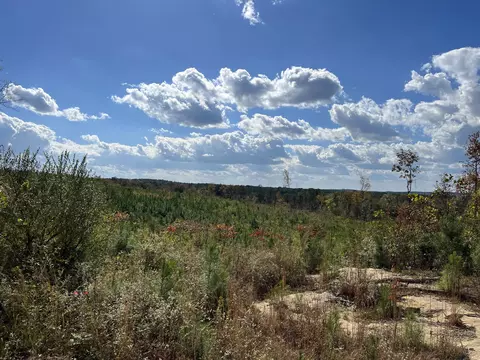 0 County Road 684, Flat Rock, AL 35966