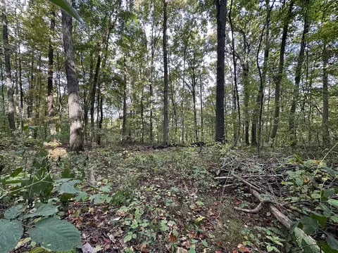 0 Fox Ridge Rd #79, Pikeville, TN 37367
