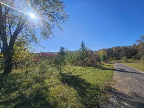 4 Rock Ave, Palmer, TN 37365