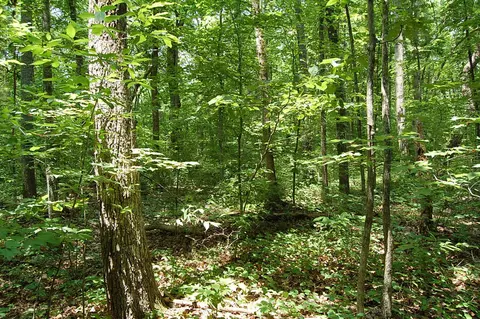 11 Red Rock, Dunlap, TN 37327