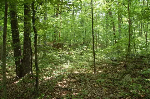 10 Red Rock, Dunlap, TN 37327