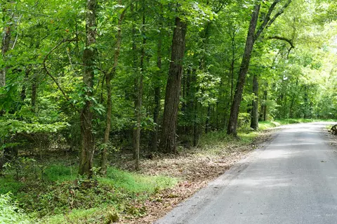 0 Wash Pelfrey Rd #2, Evensville, TN 37332