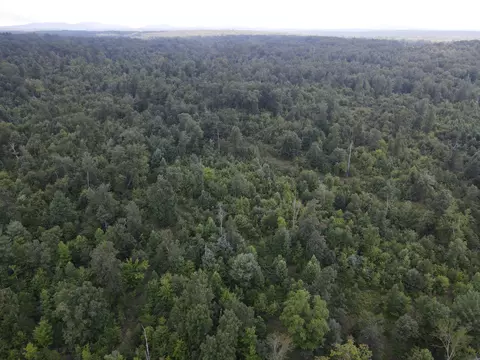 0 Wash Pelfrey Rd #4, Evensville, TN 37332