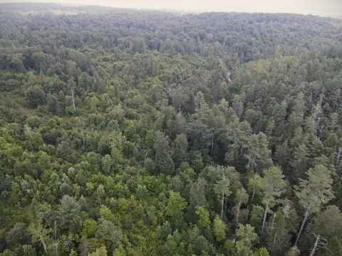 0 Wash Pelfrey Rd #6, Evensville, TN 37332